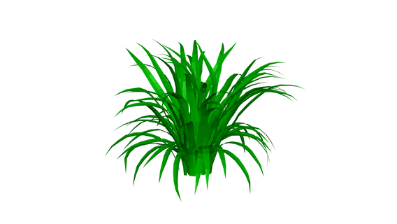 pianta clorofito fiore albero verde giardino 3d print model - Mito3D