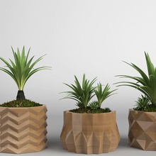 bitki koleksiyonu kümesi ev yaprak yeşil flora minimalist pot doğa kaktüs hepimizin etrafında bitkiler 3d print model - Mito3D