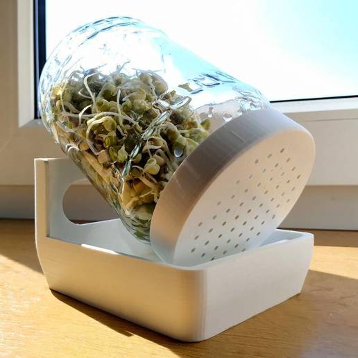 planta de germinação tigela a casa caseiro alimentos saudável saúde cozinha 3D print model - Mito3D