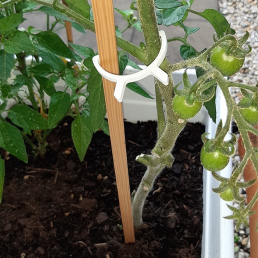 Anlage pflanzenhalter Halter home pflanze tomaten chili paprika hanf Tomaten chilli Paprika Hanf 3D print model - Mito3D