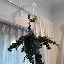 planta maceta gancho herramienta práctico plantas cortinas colgando 3d print model - Mito3D