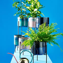 plant pot & stand home cactus decoration design art 3d print model - Mito3D