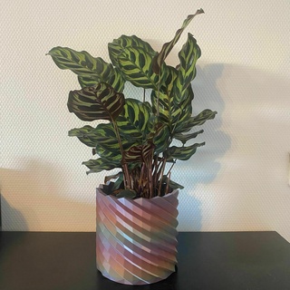 plante pot couverture gaine plantes planteur concours planteursxcults 3d print model - Mito3D