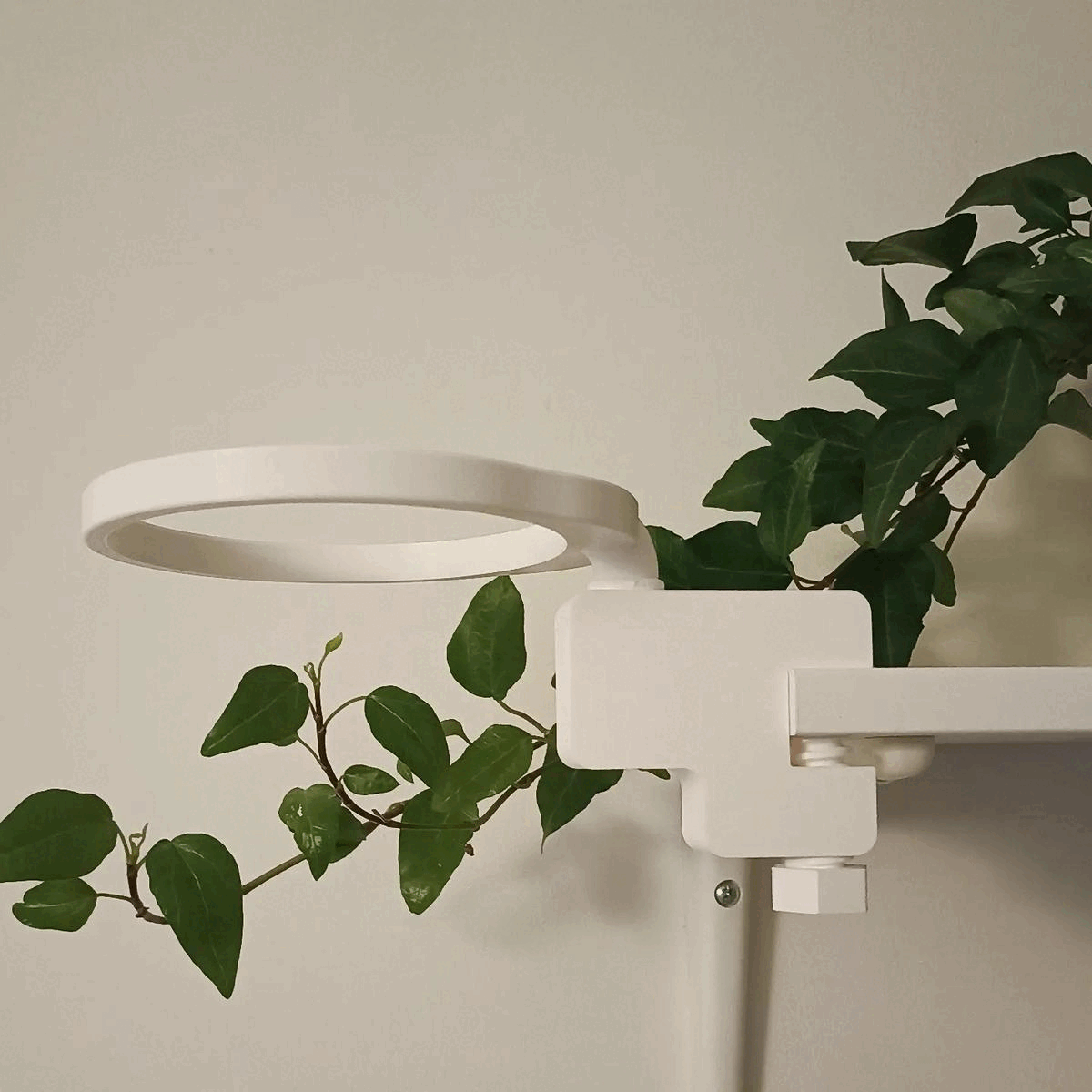 plant pot holder mounted shelf Home planter mount vase home decor extend space accessories 3D print model - Mito3D