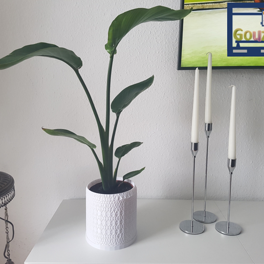 Pflanze Topf Vase Rose Blume Haus Deko 3D print model - Mito3D