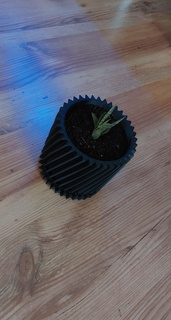 plante pot ride art conception 3d print model - Mito3D