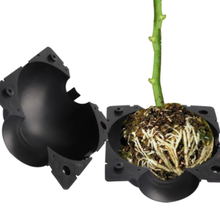 Pflanze Wurzel wachsend Werkzeug 3d print model - Mito3D