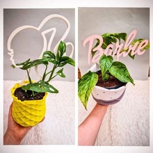 plant support set barbie 3d print model - Mito3D
