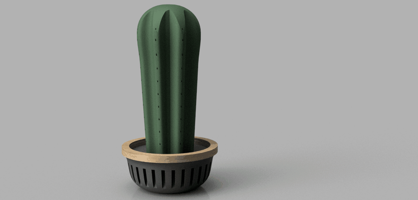 plant toothpick holder home cactus planter vase furniture design decor art 3d print model - Mito3D