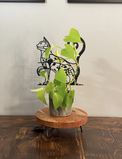 pflanze gitter stl bündeln zuhause haus pflanzen pflanzer moos moosstange ranke pothos philodendron hängend unterstützung garten tomate schick dekor 3d print model - Mito3D