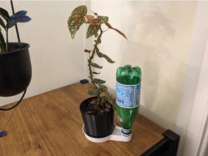plante arrosage table Accueil maison plantes recyclage décor moderne 3d print model - Mito3D