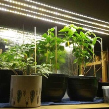 plant working lights diy simple & powerful 3d print model - Mito3D