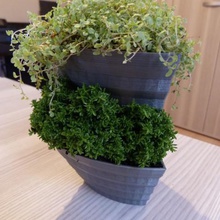 planter home garden stackable indoor 3d print model - Mito3D