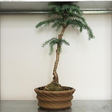 planter 1 home flower pot geometric 3d print model - Mito3D