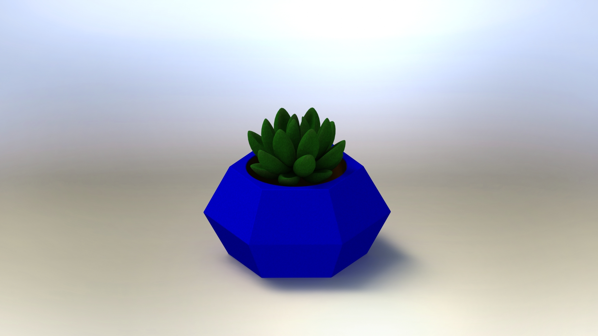 fioriera casa cactus succulenta impianti giardino fiore vaso 3D print model - Mito3D