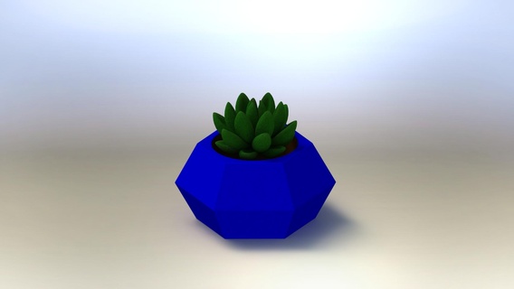 ekici ev kaktüs sulu bitkiler Bahçe çiçek vazo 3d print model - Mito3D