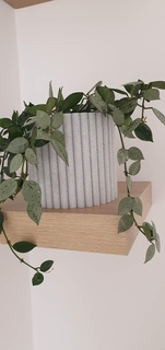 planter flower pot holder planters pots flowerpot 3d print model - Mito3D