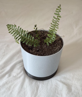 planter integrated saucer plant design 3d print model - Mito3D