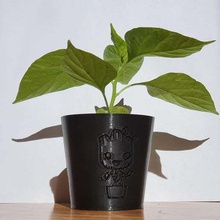 planteur mini Groot bébé cool plantes petit plante pot jardin_ extérieur 3d print model - Mito3D