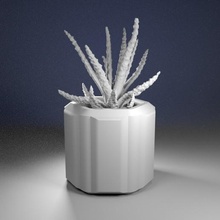 planteur pack 3 la maison décor jardinière plantes plein air de courbe 3d print model - Mito3D