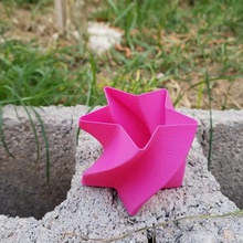 plantador de estrelas torção espiral vaso a casa plantadeira pote flores estrela 3d print model - Mito3D