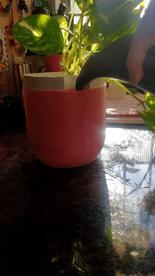 plantador água Panela flor plantas plantar jardinagem interior Projeto vaso flores reservatório maceta planta casa verde Cuidado 3D print model - Mito3D