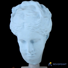 plaster sculpture women generated revopoint pop art 3d print model - Mito3D