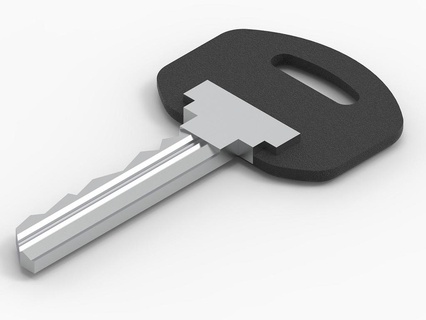 Plastik Ersatz Schlüssel 16x4x2 5mm Wellen Schlüsselanhänger Teile schonen Reparatur DIY 3d print model - Mito3D
