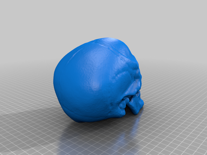 plastic skull cranium halloween human makerbotdigitizer scan 3d scans scanning replicas 3d print model - Mito3D