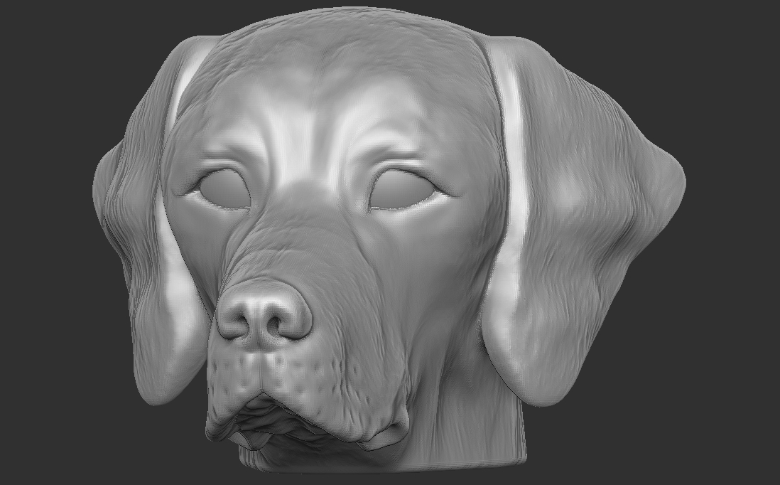 pointer dog head 3d printing puppy animal bernese dachshund saint bernard newfoundland rottweiler pitbull shepherd german dane chihuahua bulldog labrador retriever husky 3D print model - Mito3D