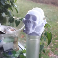veneno cráneos tapón de botella casa 3d print model - Mito3D