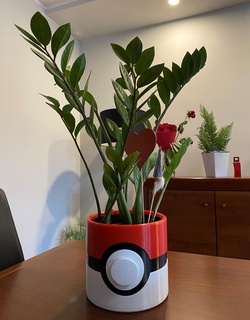 pokebola maceta cubierta carcasa funda cilindro medio pokemon flor hogar casa 3d print model - Mito3D