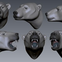 polar bear head art eye teeth sculpture illustration statue tooth man sculptures 3d print model - Mito3D