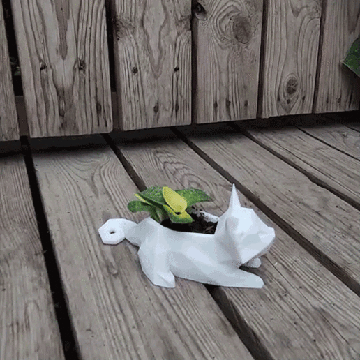 poly cat kitten pot planter lowpoly garden gardening cactus cute animal 3D print model - Mito3D
