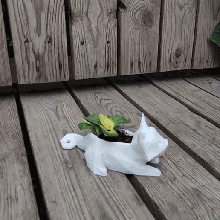 poly chat chaton pot planteur lowpoly jardin jardinage cactus mignonne animal 3d print model - Mito3D
