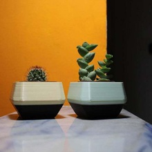 escuela politécnica plantador editar abierto balcón cactus casa decoración jardín jardineras maceta plantas planta suculentas 3d print model - Mito3D