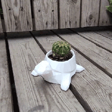poly turtle pot planter art cactus body garden gardening planting 3d print model - Mito3D
