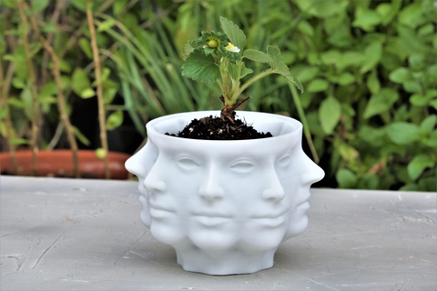 polyface planter - pot bonsai bowl cactus fruit lotus flower plant outdoor garden etsy amazon face faces modern 3d print model - Mito3D