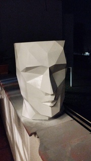 polygone tête planteur faible poly polygonal pot 3d print model - Mito3D