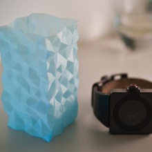 poligonal do vaso casa 3d print model - Mito3D