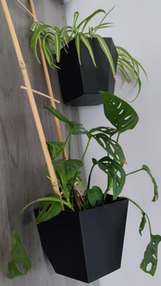 polygonal wall mounted planters planter wall polygonal  3d print model - Mito3D