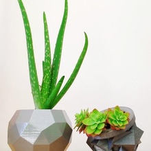 poliedrico vasi vaso impianti poliedri geometrico combo duo arredamento fiori cubo lowpoly aloe cactus design mobilia giardino Casa verde 3d print model - Mito3D