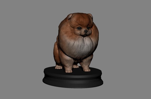 pomeranian petdog dog bulldog 3dprint 3dprinting sculpture sculpt corgi 3d print model - Mito3D