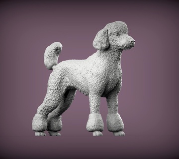 caniche 3d impresión modelo perro naturaleza mamífero animal mascota escultura estatuilla recuerdo presente esculpir Arte esculturas estatua imprimible 3d print model - Mito3D