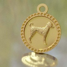 caniche trousseau de clés bijoux la coulée pièce monnaie un phantom chien porte-clés 3d print model - Mito3D