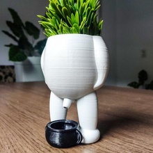 popo vase - plant 3d print model 3d print model - Mito3D