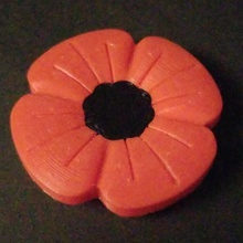 poppy home poppy remembrance day lest we forget