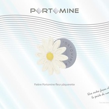 portomine flower hook daisy home peg wearing towel holder furniture decoration bathroom house 3d print model - Mito3D