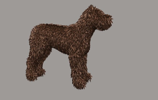 portuguese water dog animal toy collection 3d print model - Mito3D