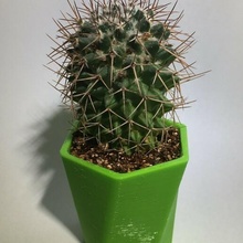 pot house planter pencil pencils pots plants plant art design vase cactus cup original inside green 3d print model - Mito3D